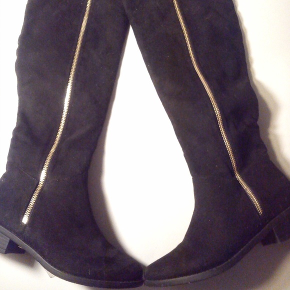 Falabella Americanino - Picture 4 of 8